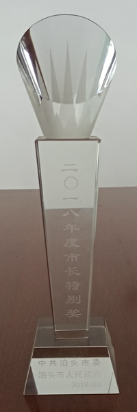 泊頭市長特別獎(jiǎng)-2018